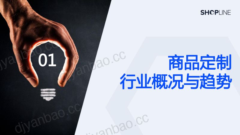 SHOPLINE:2023上半年商品定制热点-服饰&饰品篇(43页) 第3页