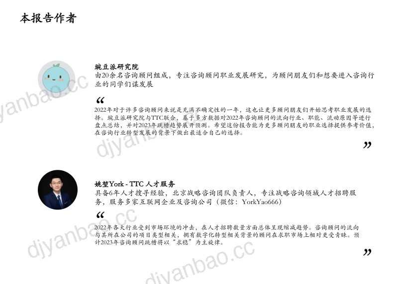 豌豆派：2022-2023咨询顾问发展报告（19页） 第2页