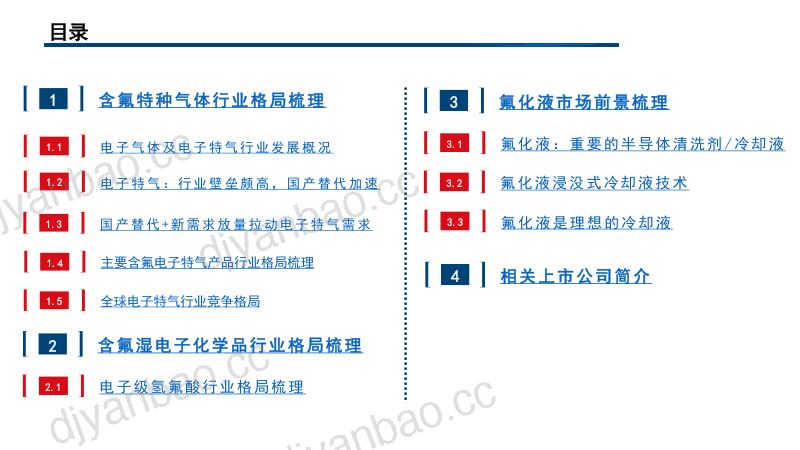 2023年含氟半导体化学品行业格局及市场前景分析报告 第2页