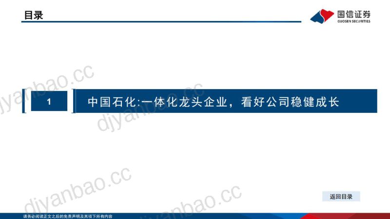 化工行业:看好中石化、电子特气、氟化液、膳食纤维方向-230430(40页) 第3页