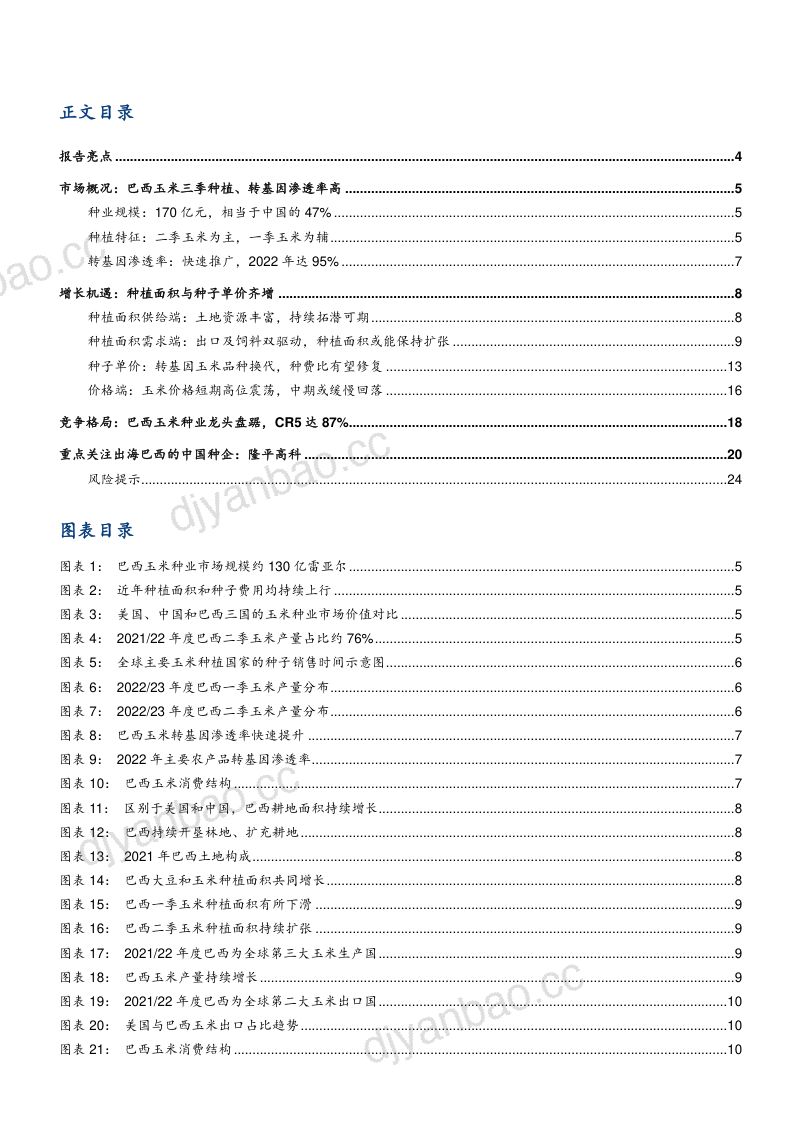 2023巴西玉米种业市场规模、种植特征、增长机遇及竞争格局分析报告（23页） 第2页