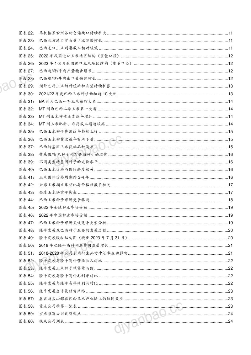 2023巴西玉米种业市场规模、种植特征、增长机遇及竞争格局分析报告（23页） 第3页