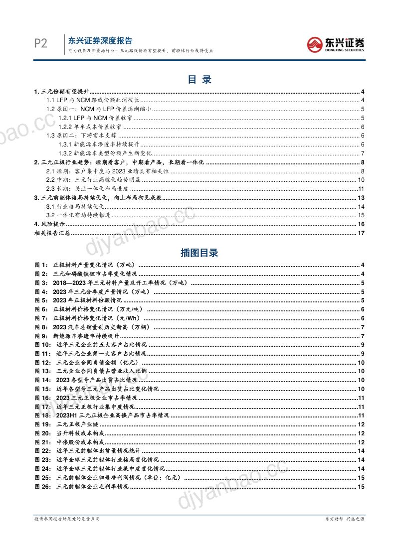 电力设备及新能源行业:三元路线份额有望提升前驱体行业或将受益-240308(19页) 第2页