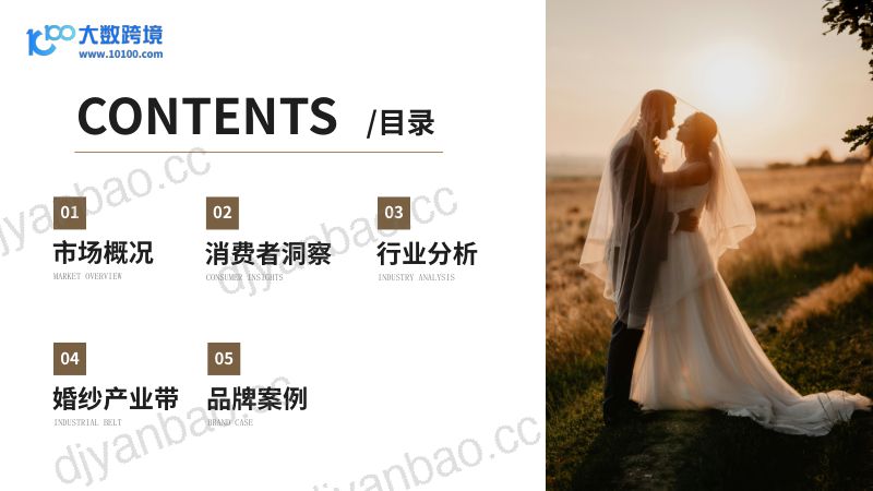 大数跨境:2024全球婚纱市场洞察报告(43页) 第3页