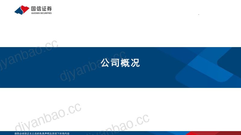 有色金属行业:海外铜企专题3~第一量子(FM.TO)高成长性的铜矿公司-240617(25页) 第3页
