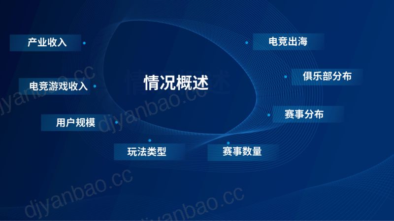 中国音像与数字出版协会:2024年1-6月中国电子竞技产业报告(15页) 第2页