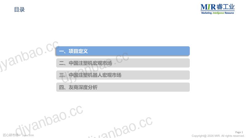 中国注塑行业机器人深入洞察研究报告 第2页