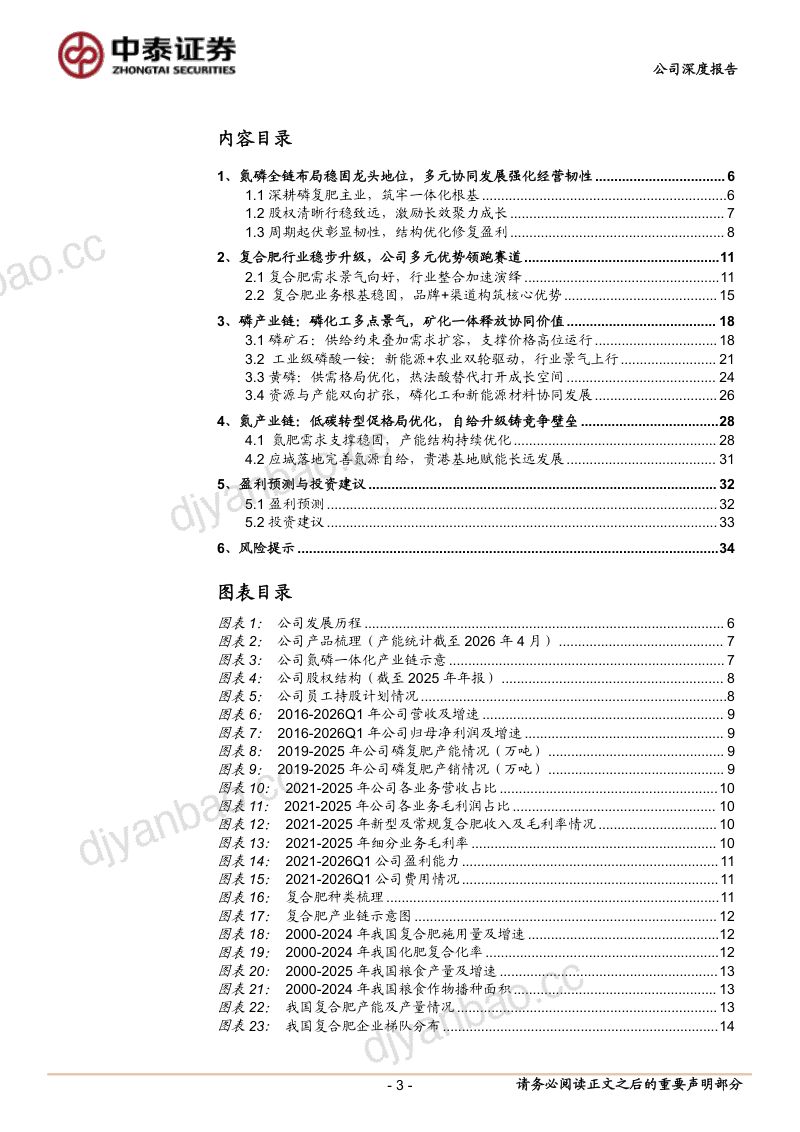 深度报告资源禀赋筑根基，一体协同赢未来 第3页