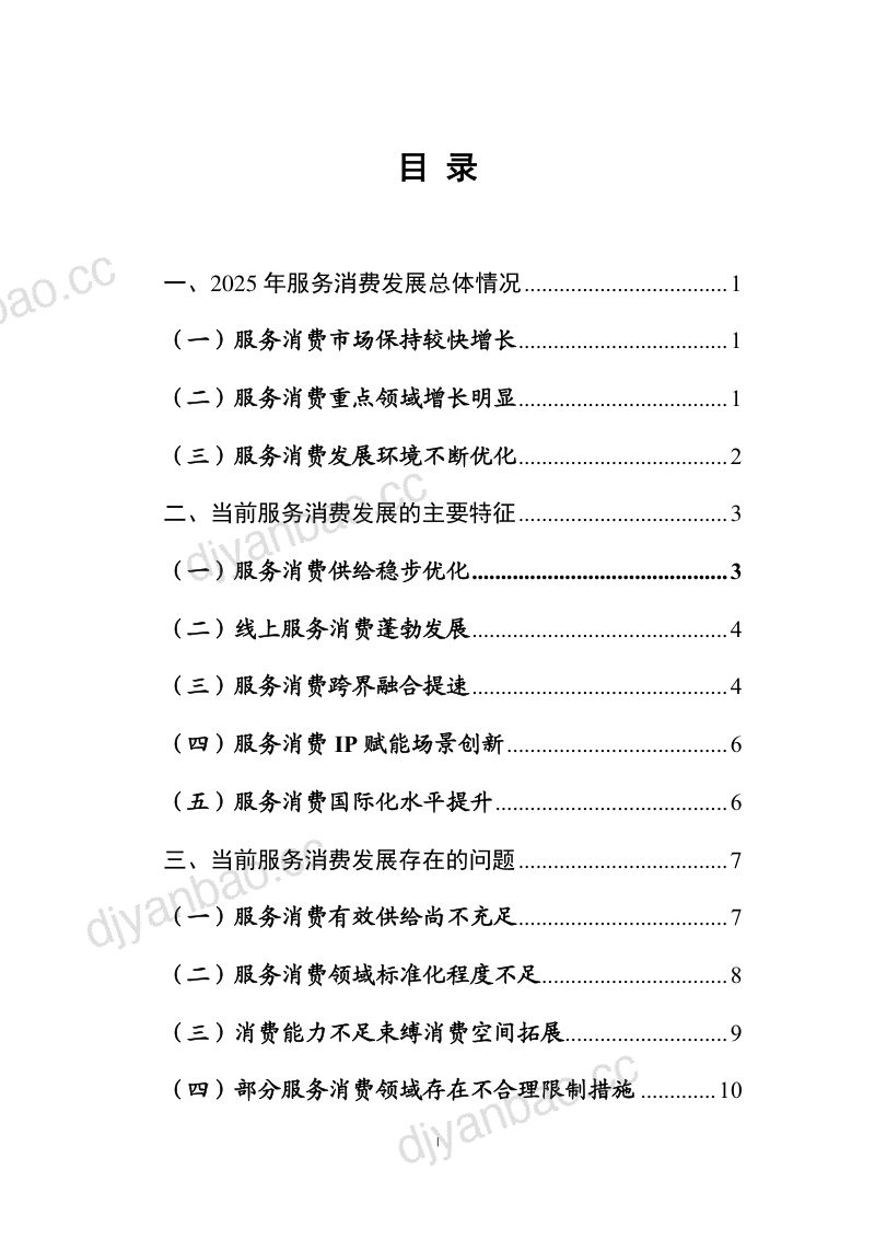中国服务消费发展报告：2025 第2页