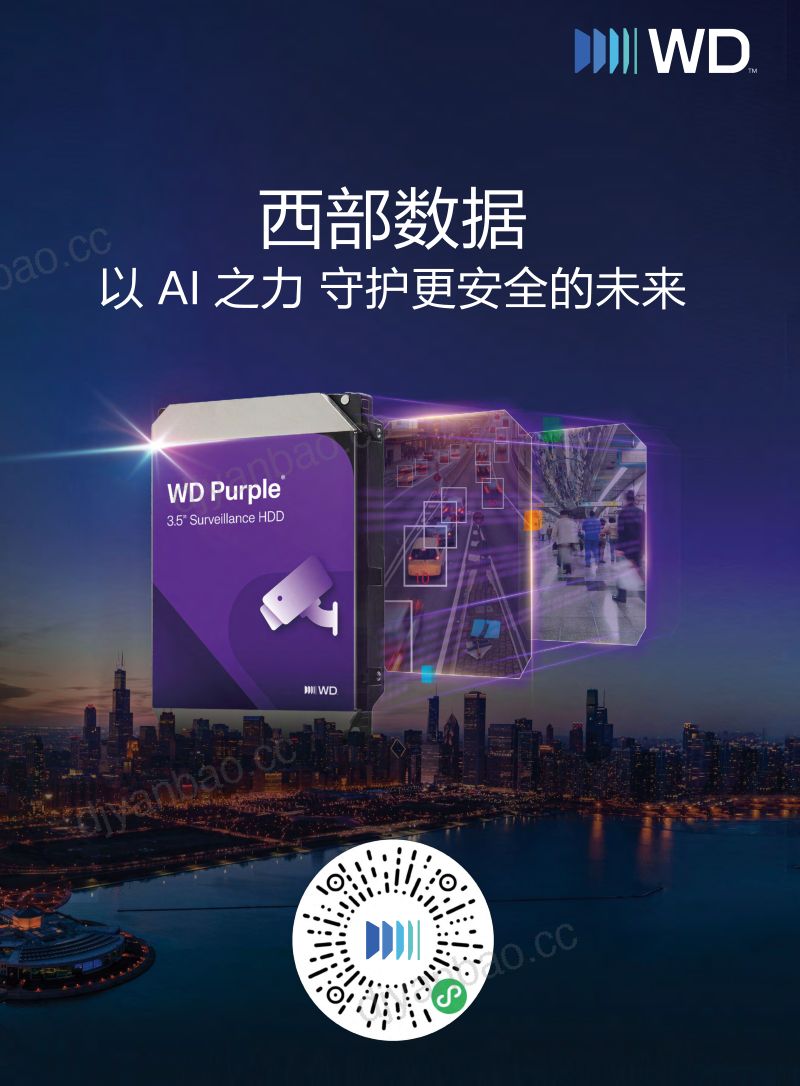 2025-2026安防行业调查报告 第2页