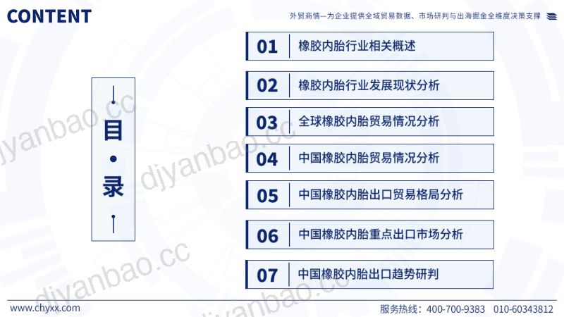 全球与中国橡胶内胎产业供需贸易概况及重点国别出口分析报告(2026版) 第2页