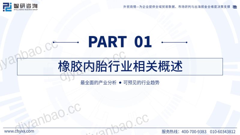 全球与中国橡胶内胎产业供需贸易概况及重点国别出口分析报告(2026版) 第3页