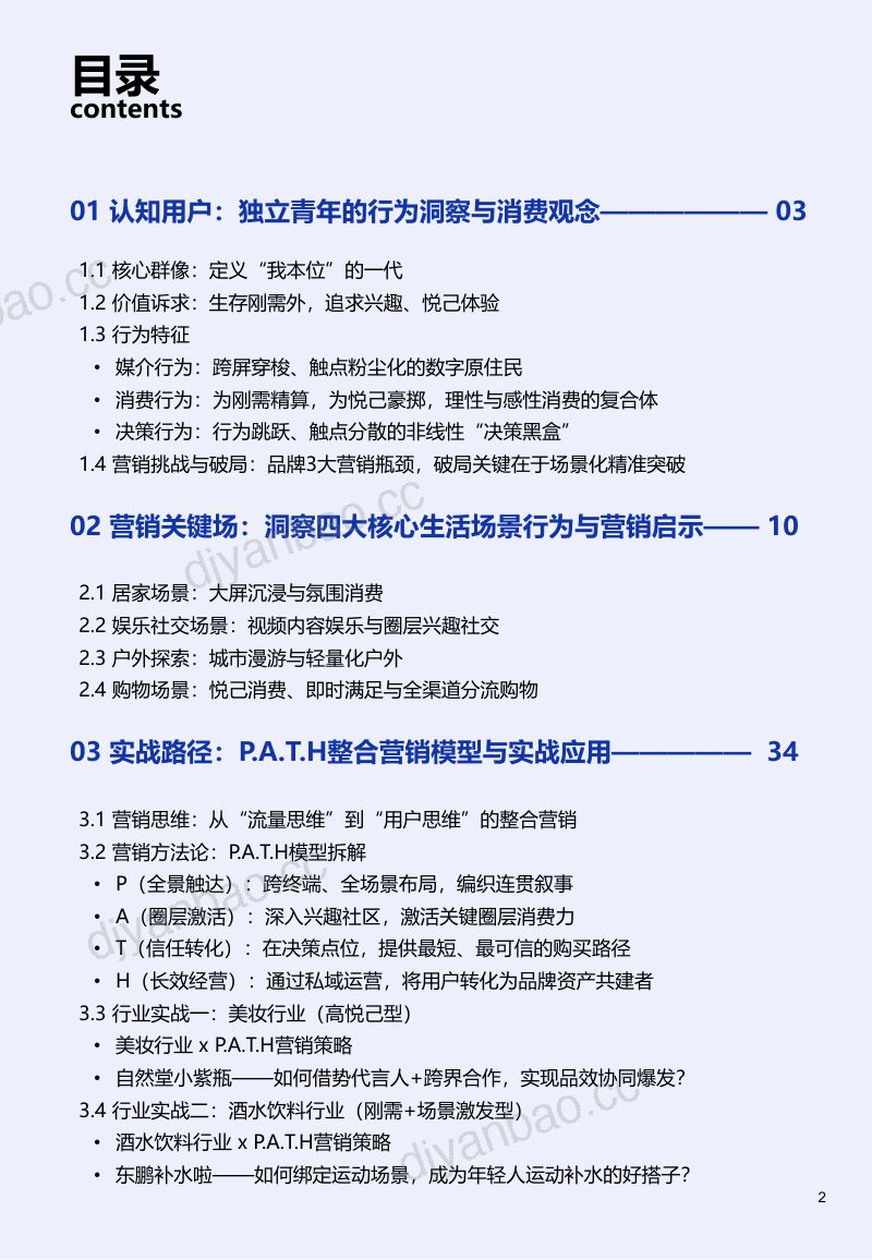 勾正科技：2026独立青年整合营销白皮书 第3页