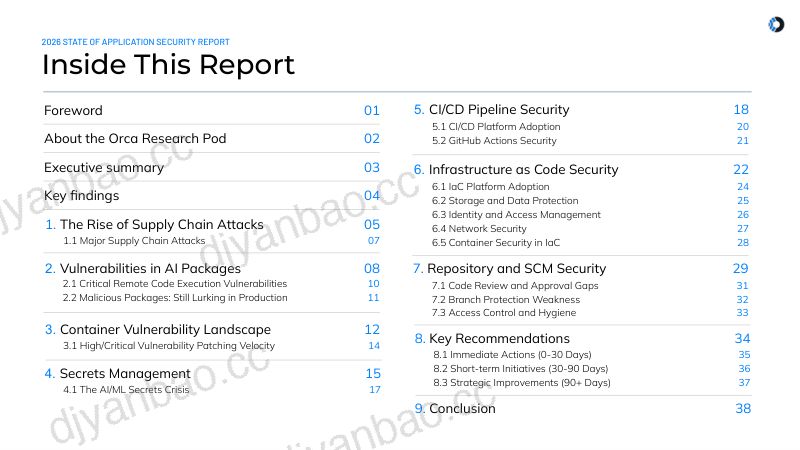 Orca Security:2026年应用安全现状报告:当开发速度超越安全成熟度(英文版) 第3页