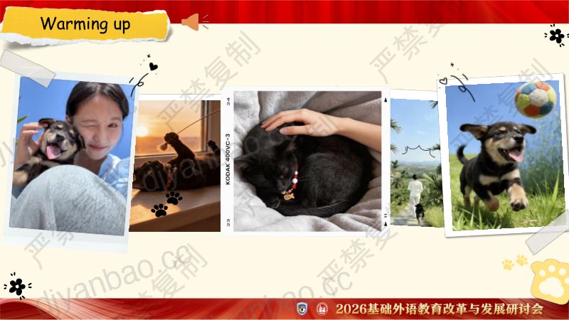 分会场2-陈沛泓-新标准八年级下册-Unit 4-Developing ideas-听说课-课件 第3页