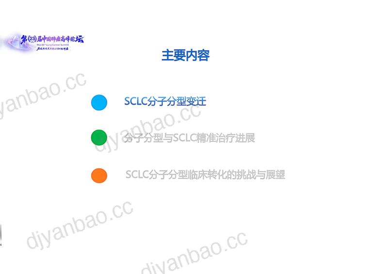 主题演讲：小细胞肺癌分子分型研究进展 第2页