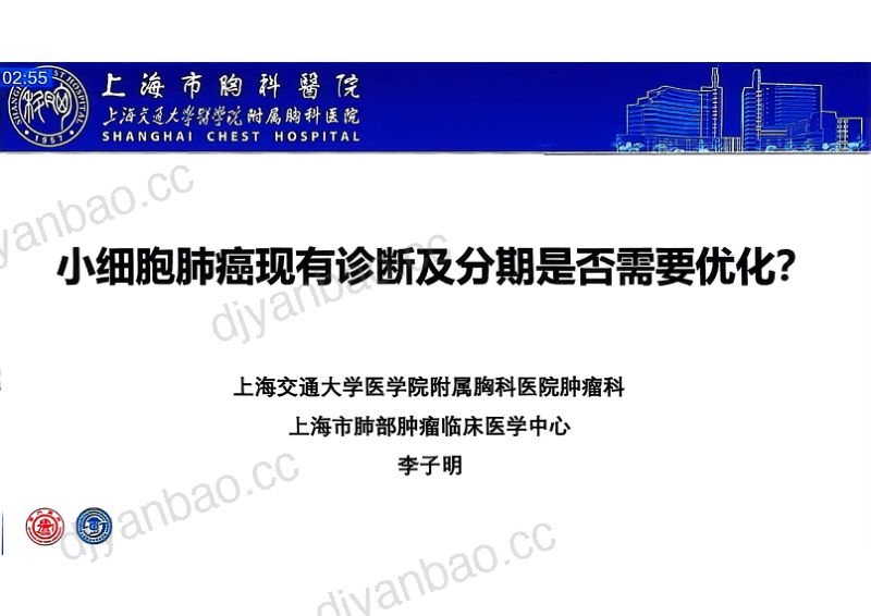 热点讨论:基于上述两个问题小细胞肺癌现有诊断及分期是否需要优化r 第2页