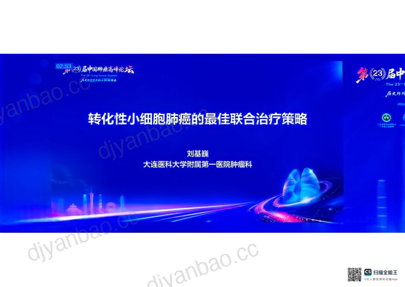 热点讨论：转化性小细胞肺癌的最佳联合治疗策略 第2页