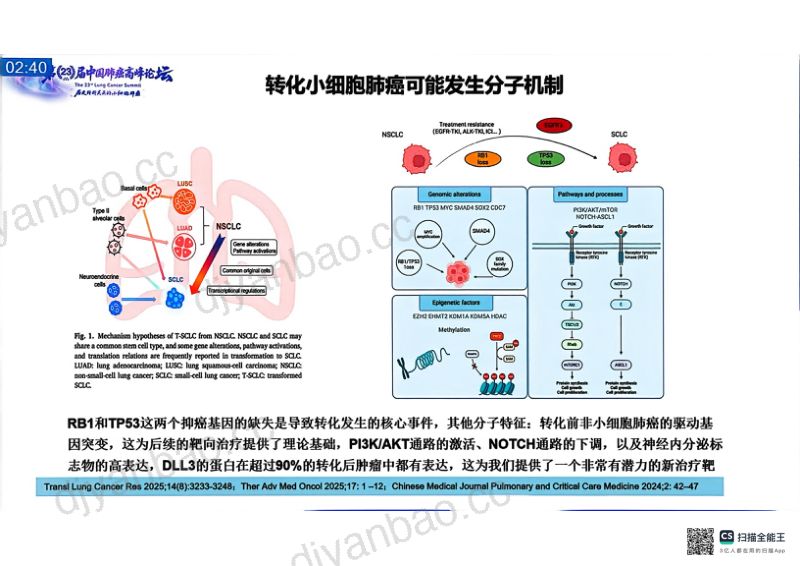 热点讨论：转化性小细胞肺癌的最佳联合治疗策略 第3页