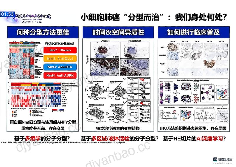 热点讨论:分子分型在小细胞肺癌治疗中的指导意义 (1) 第2页