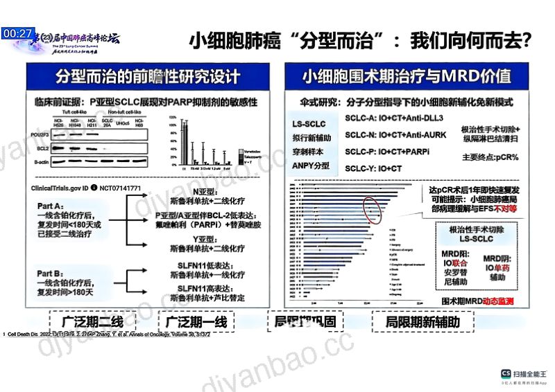 热点讨论:分子分型在小细胞肺癌治疗中的指导意义 (1) 第3页