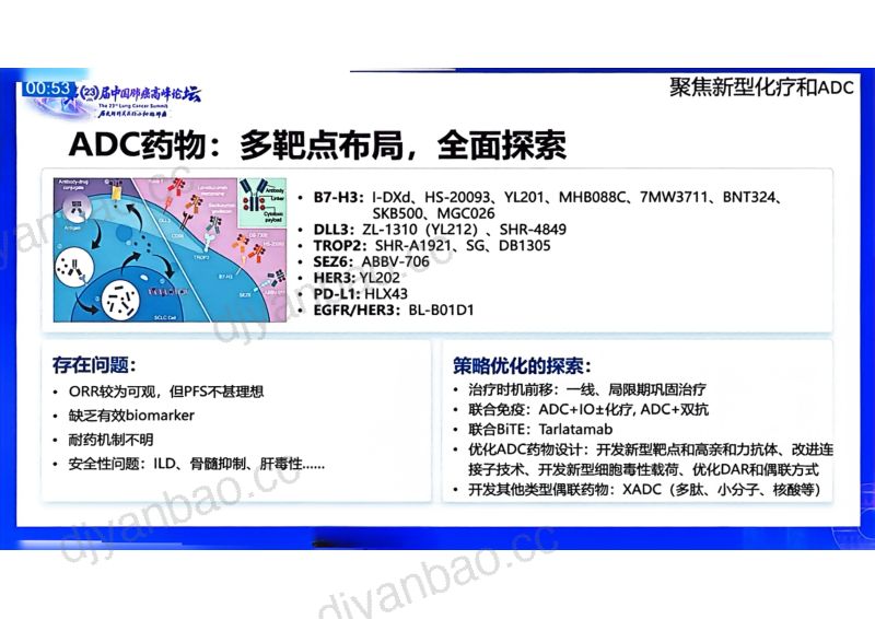 热点讨论：聚焦新型化疗和ADC 第2页