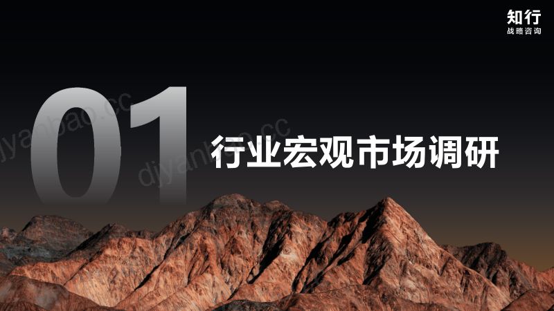 知行咨询:2026知行数据观察报告:巧克力品类 第3页