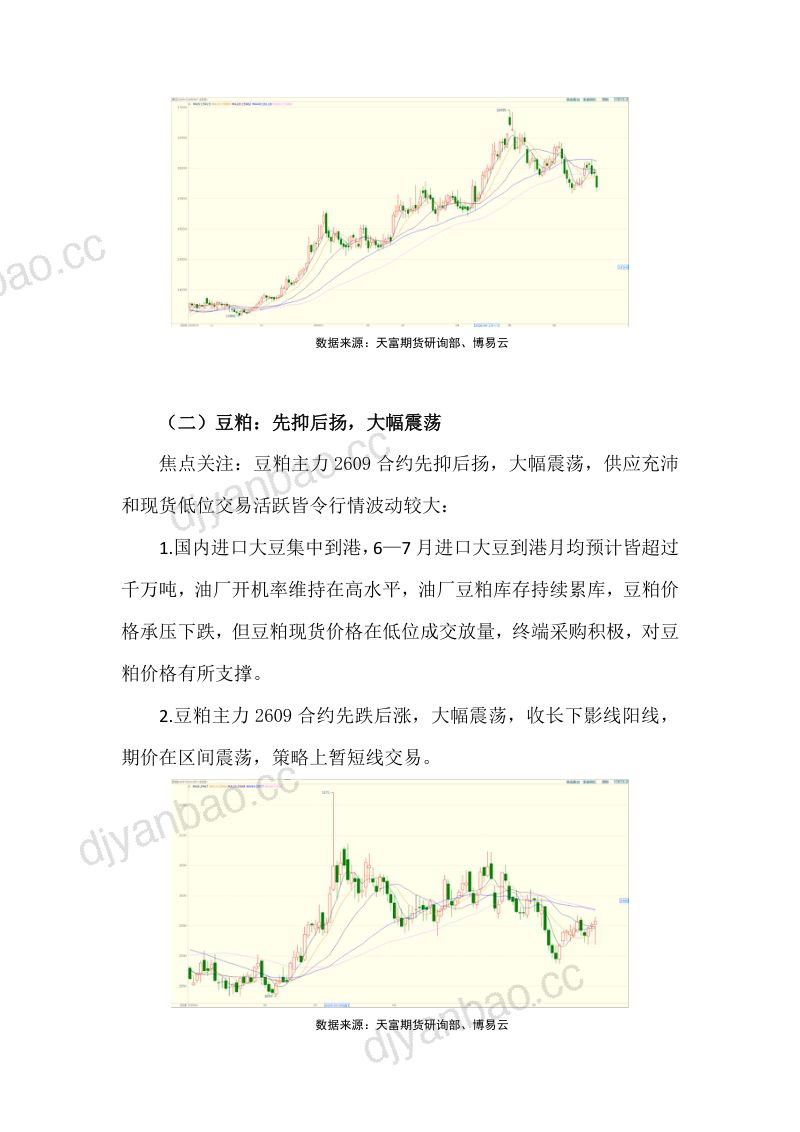 棉花下挫、豆粕先抑后扬 第2页