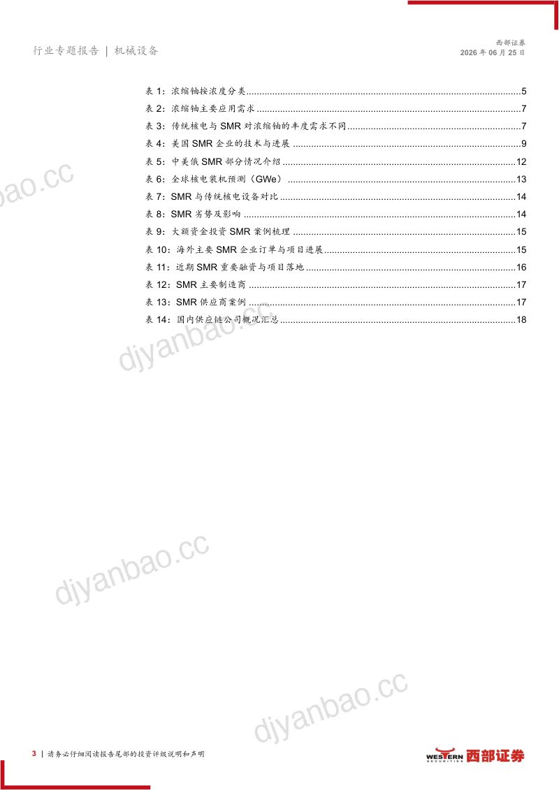 SMR电能新星,2050年累计投资额或达9000亿美元 第3页