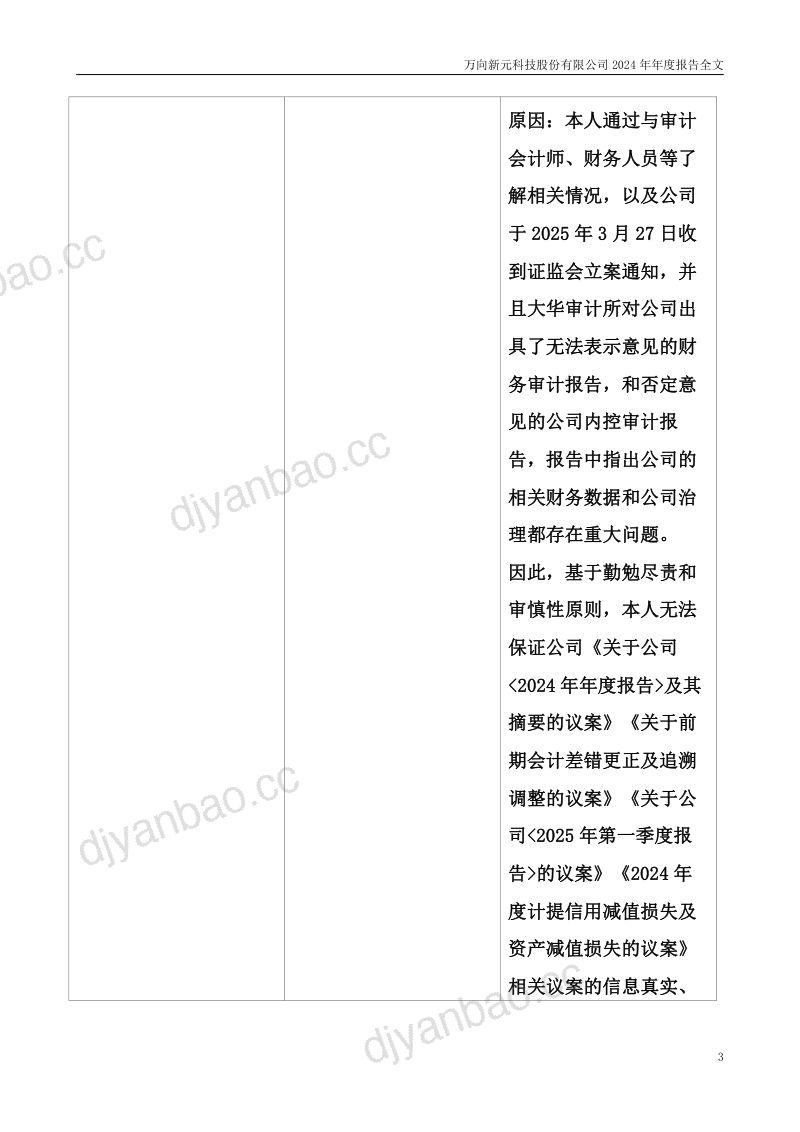 *ST新元:2024年年度报告(更正后) 第3页