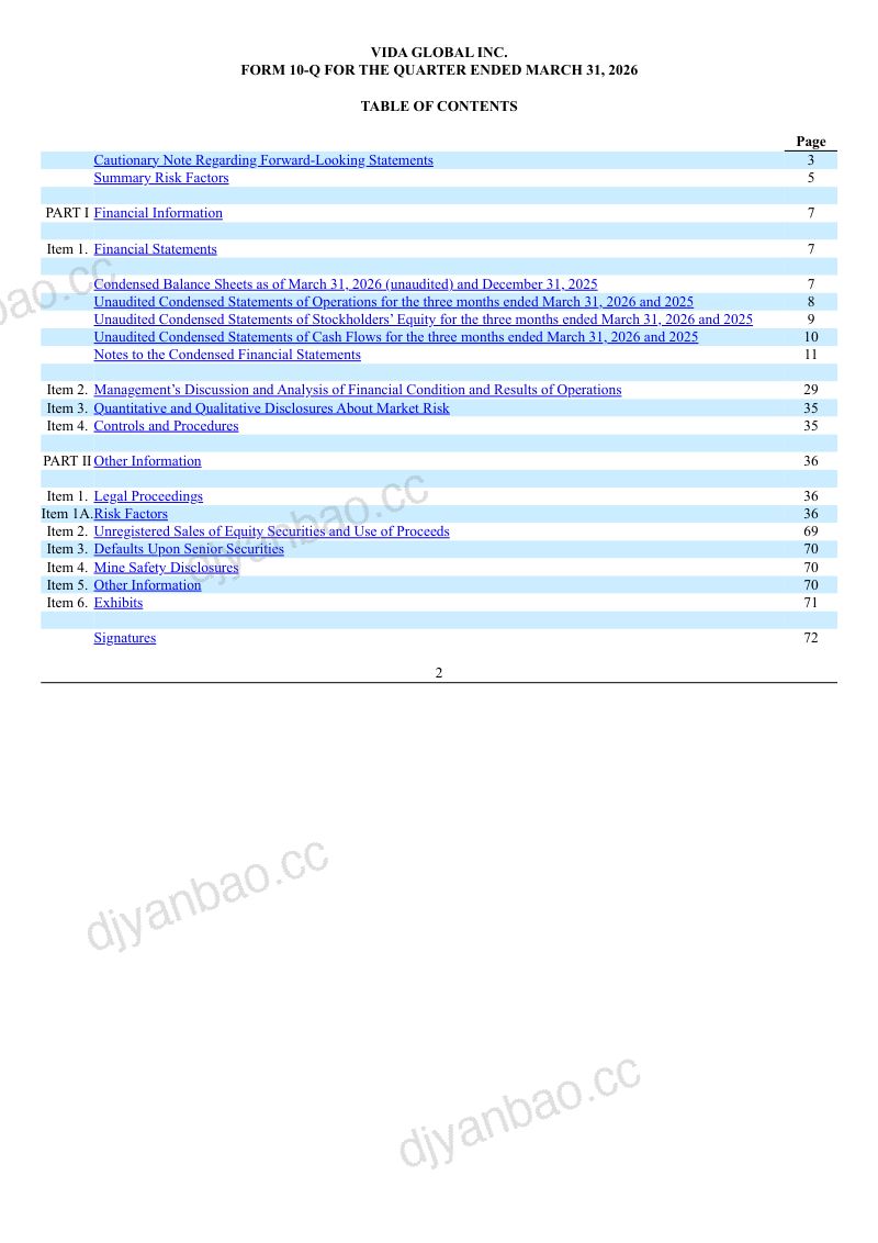 VIDA Global Inc-A 2026年季度报告 第3页