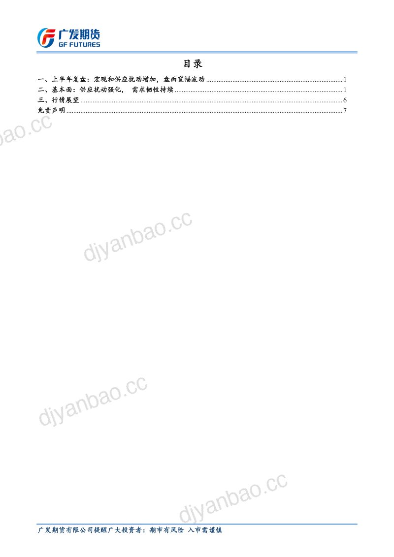 广发期货碳酸锂市场半年报 第2页