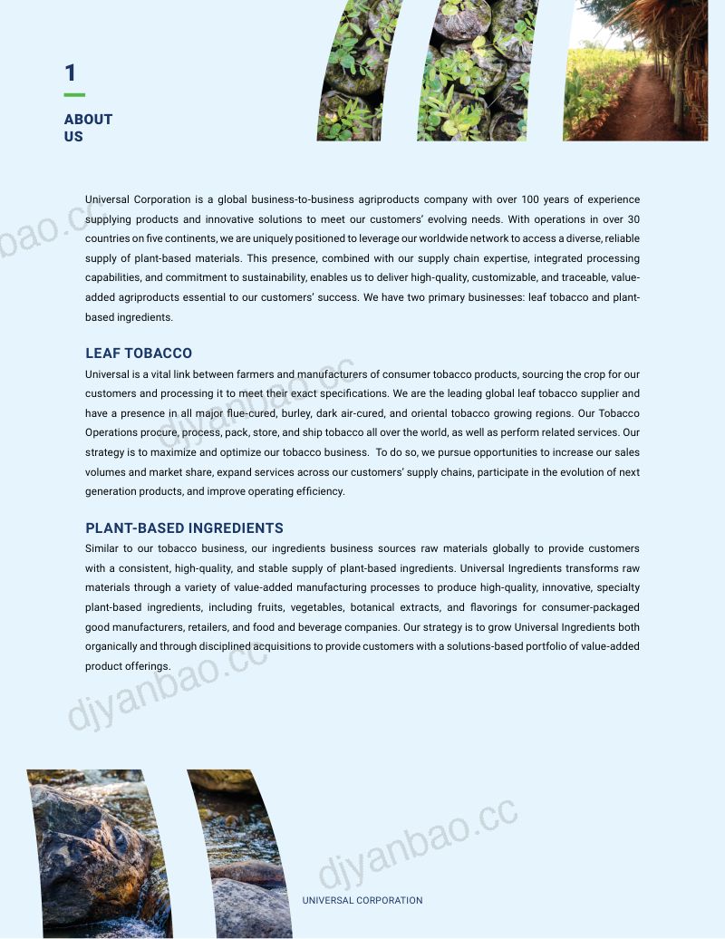 环球烟草 2025年度报告 第2页