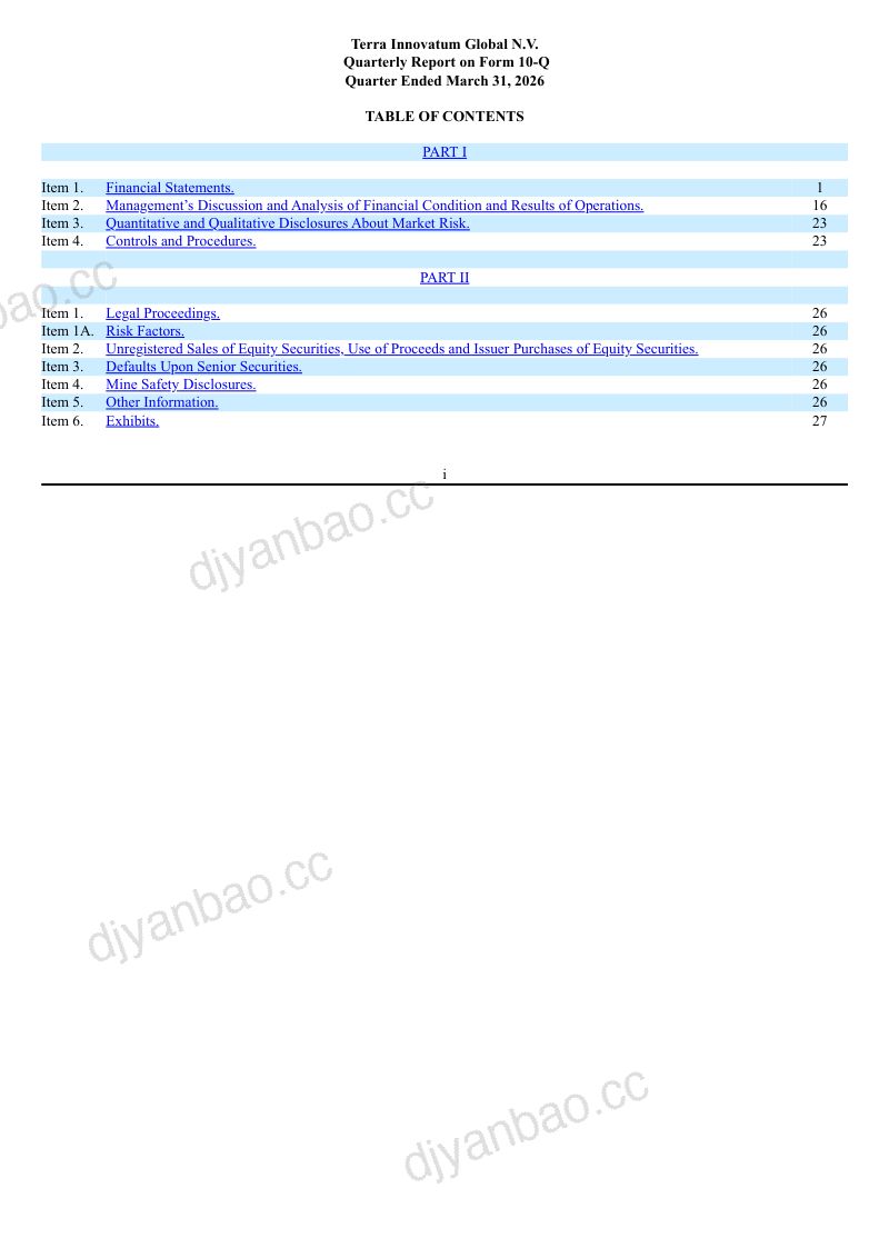 Terra Innovatum Global NV 2026年季度报告 第3页