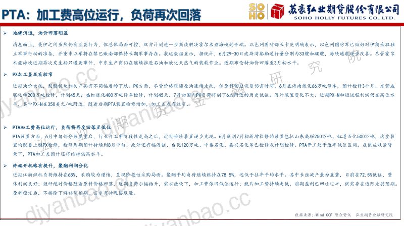 聚酯:溢价基本回落,供需主导市场 第3页