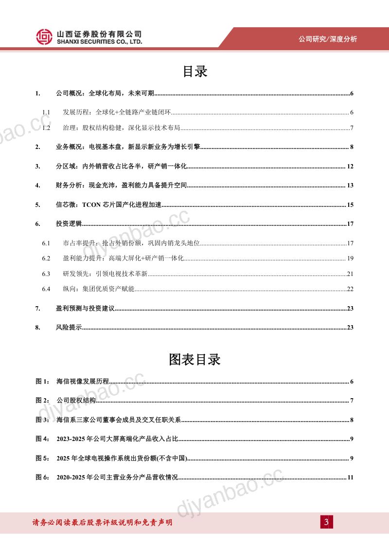 全球化布局，多元发展 第3页