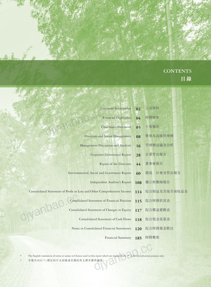 域能控股2026年度报告 第2页