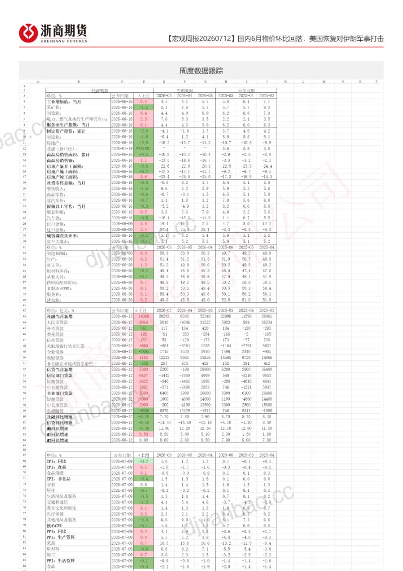 国内6月物价环比回落,美国恢复对伊朗军事打击 第2页