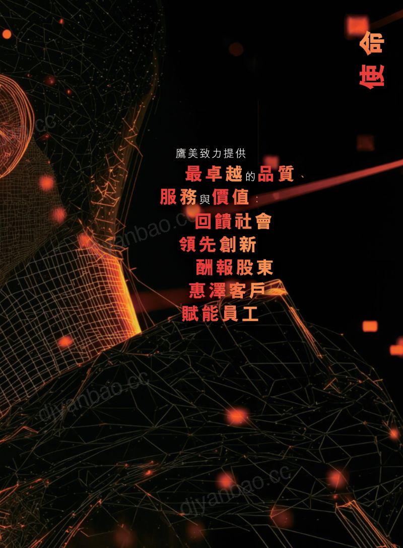 鹰美2026年报 第3页