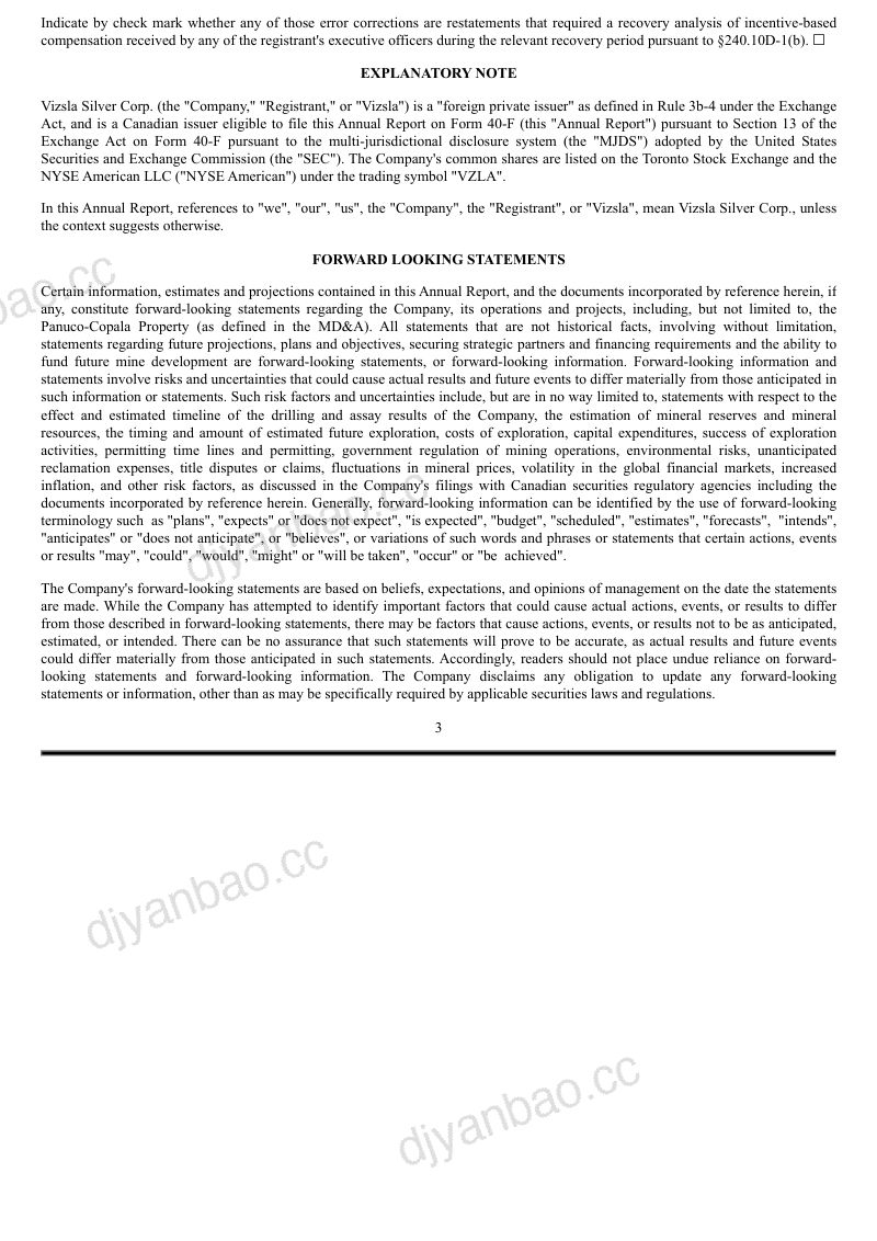 维兹拉银业公司2025年度报告 第3页