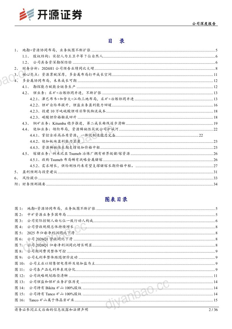 公司深度报告:资源禀赋深厚,多金属布局打开成长空间 第2页
