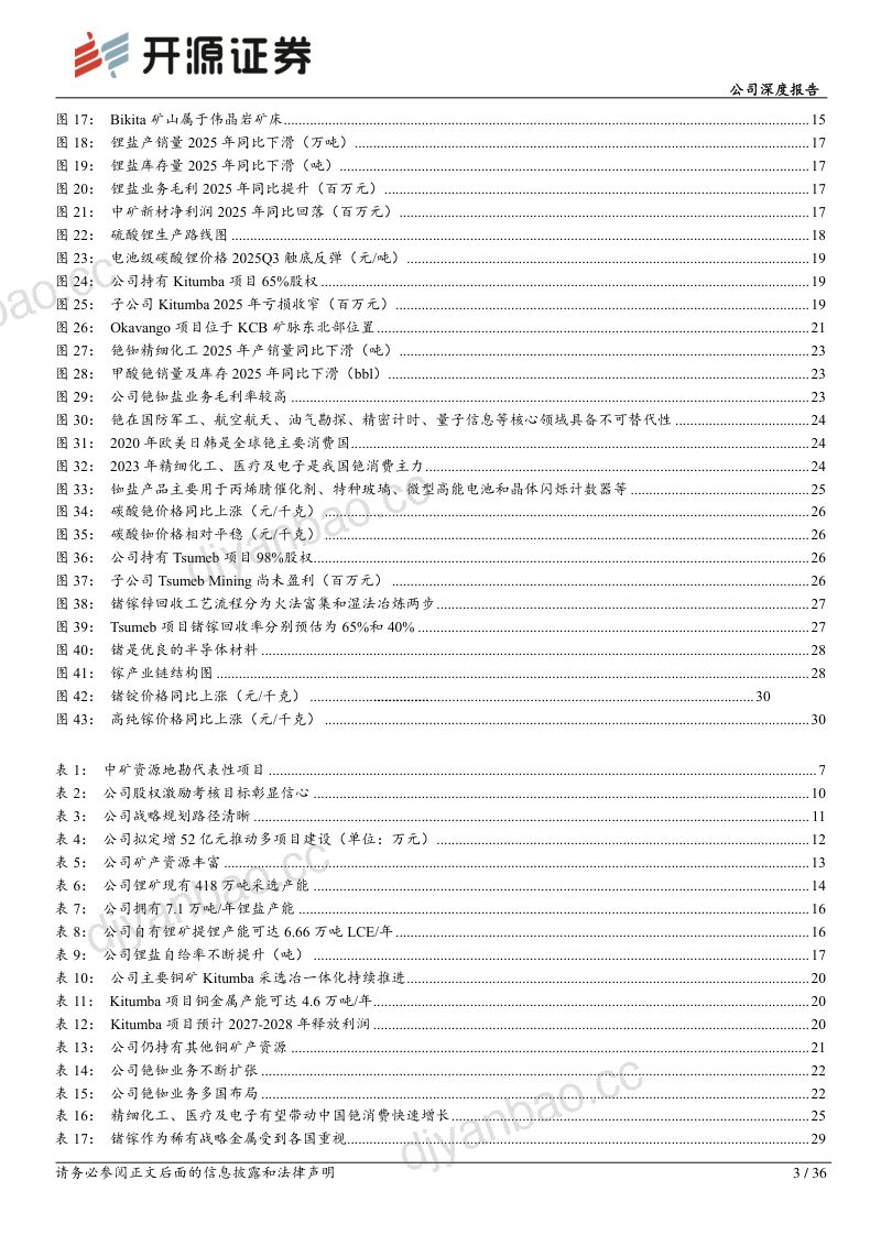 公司深度报告:资源禀赋深厚,多金属布局打开成长空间 第3页