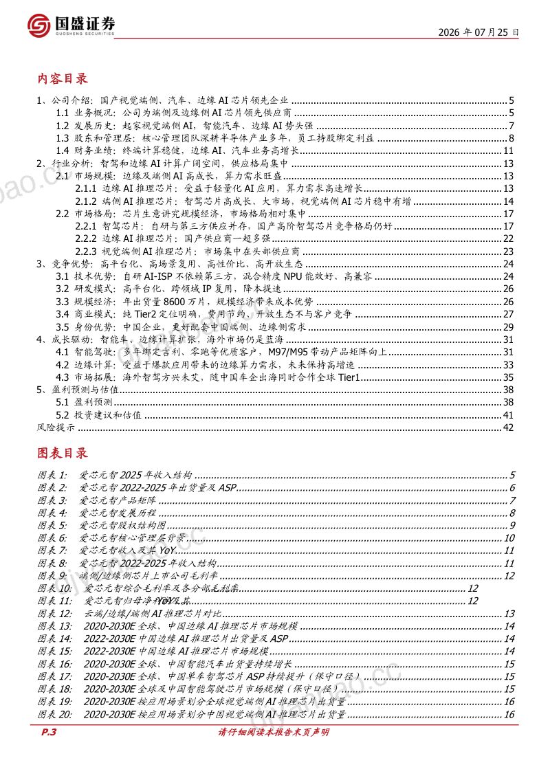 踏智驾及边缘AI之浪,启高端芯片之航 第3页