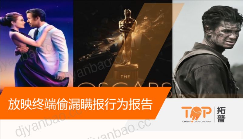 放映终端偷漏瞒报行为报告 第2页