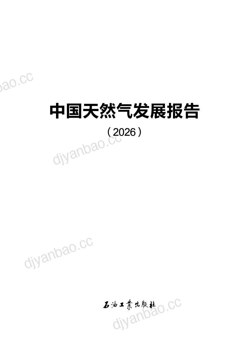 中国天然气发展报告（2026） 第2页