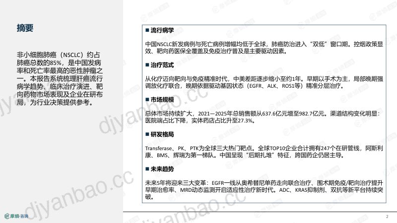 2026年非小细胞肺癌流行病学趋势及热门靶点药物市场表现洞察 第2页