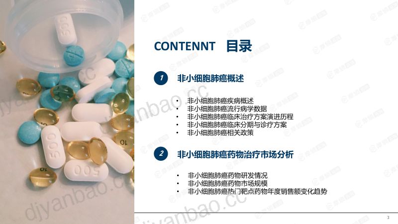 2026年非小细胞肺癌流行病学趋势及热门靶点药物市场表现洞察 第3页