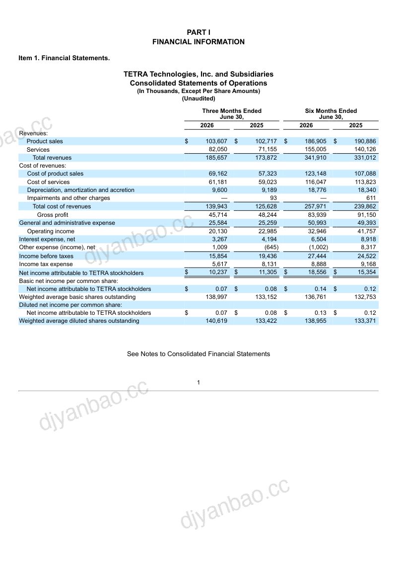 脂鲤技术 2026年季度报告 第3页