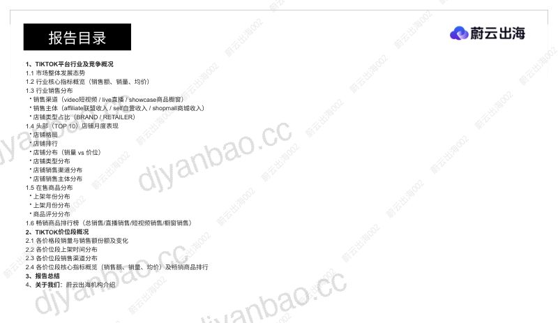 菲律宾TikTok2026年移动电源6月市场月度报告 第3页
