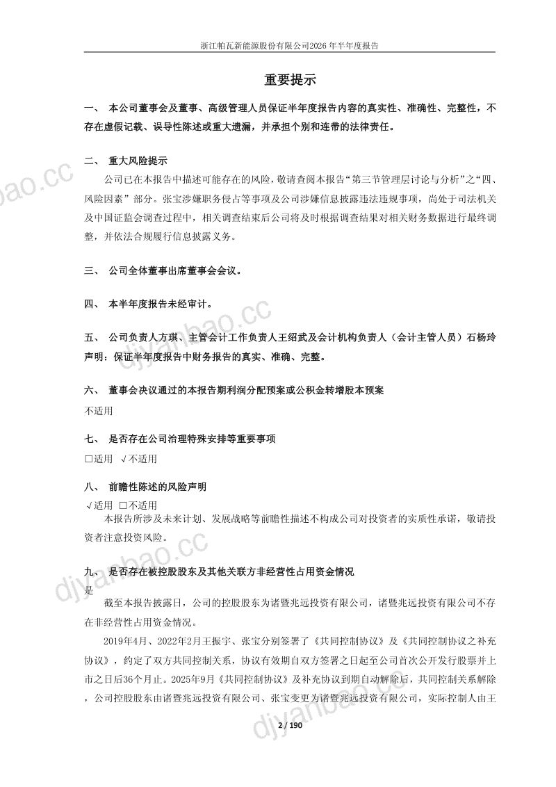 ST帕瓦:2026年半年度报告 第2页